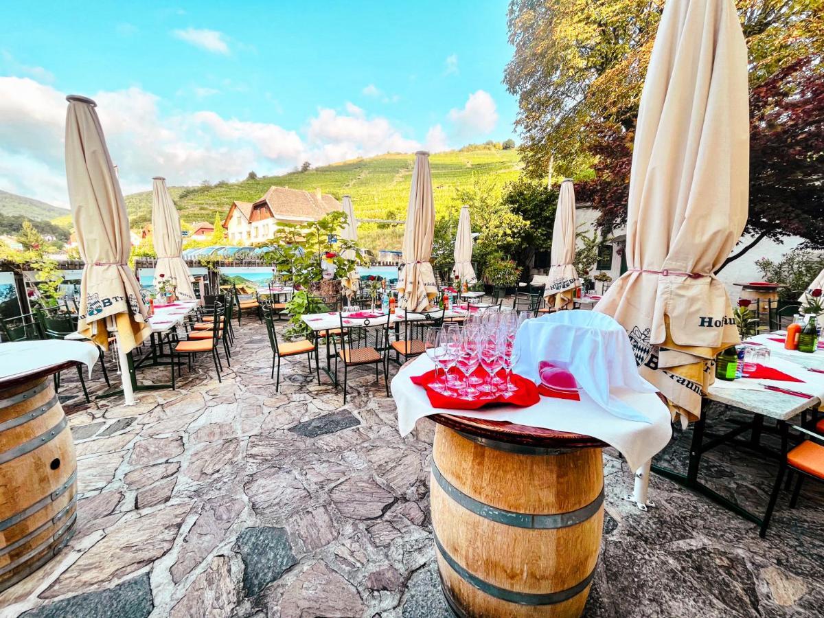 Stierschneider'S Weinhotel Wachau & Wiazhaus Spitz an der Donau Ngoại thất bức ảnh
