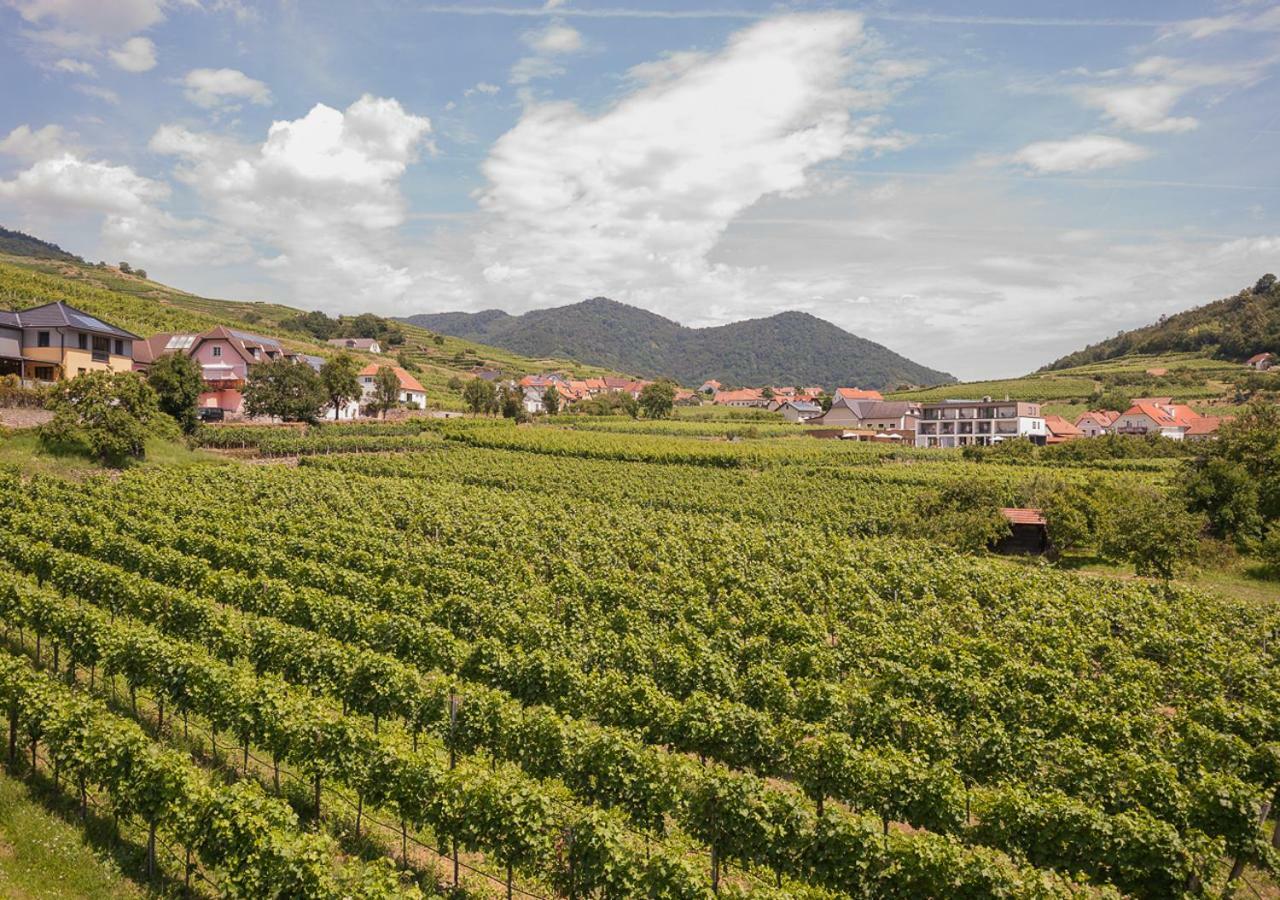 Stierschneider'S Weinhotel Wachau & Wiazhaus Spitz an der Donau Ngoại thất bức ảnh